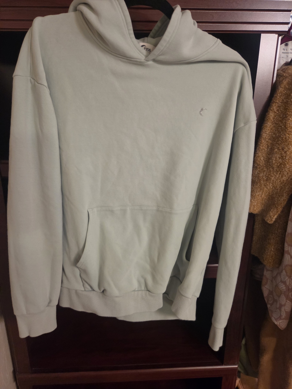 ZYIA Men's Sage Green Hoodie Sweatshirt